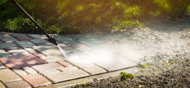 Best Animal Enclosure Cleaning  in Carbonville, UT